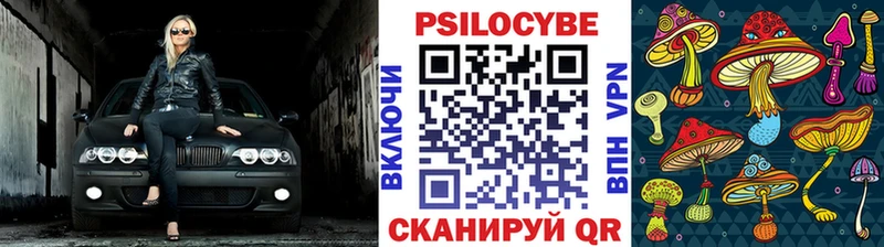 mega ТОР  где найти наркотики  Чухлома  Псилоцибиновые грибы Psilocybe 